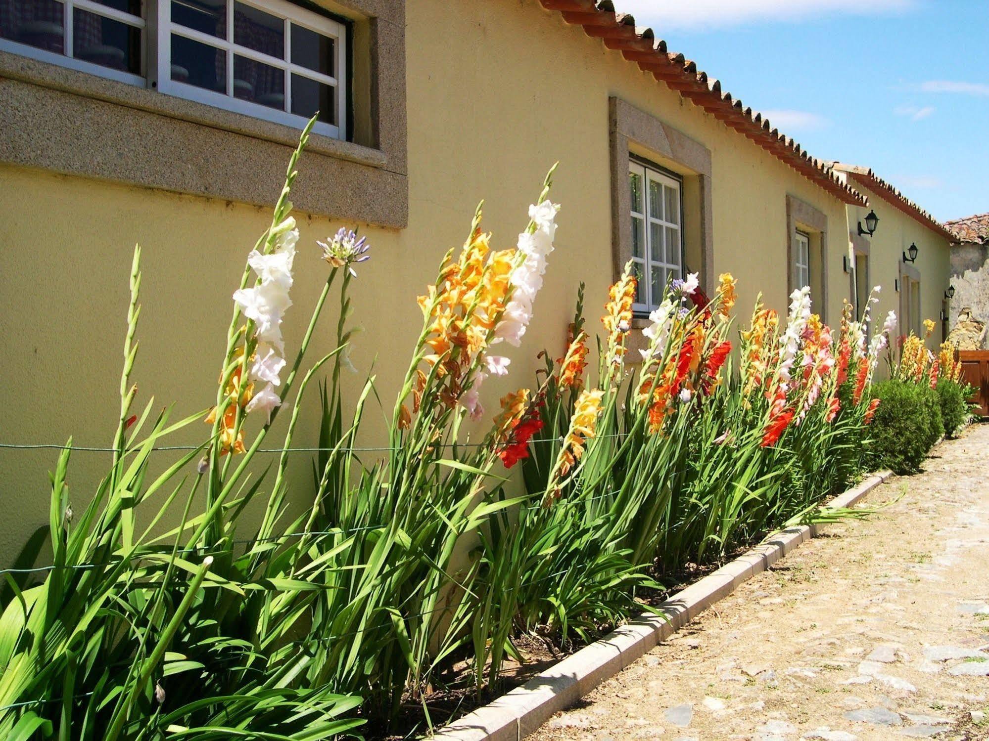 Hospedaria Do Convento D'Aguiar- Turismo De Habitacao Фиґейра-ді-Каштелу-Родрґу Екстер'єр фото
